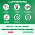 Bild 5 von 8