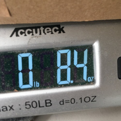 Jie Baishu Slippers Womens 44-45 Mules Yellow Fabric Round Toe Casual Comfort - Foto 16 di 17