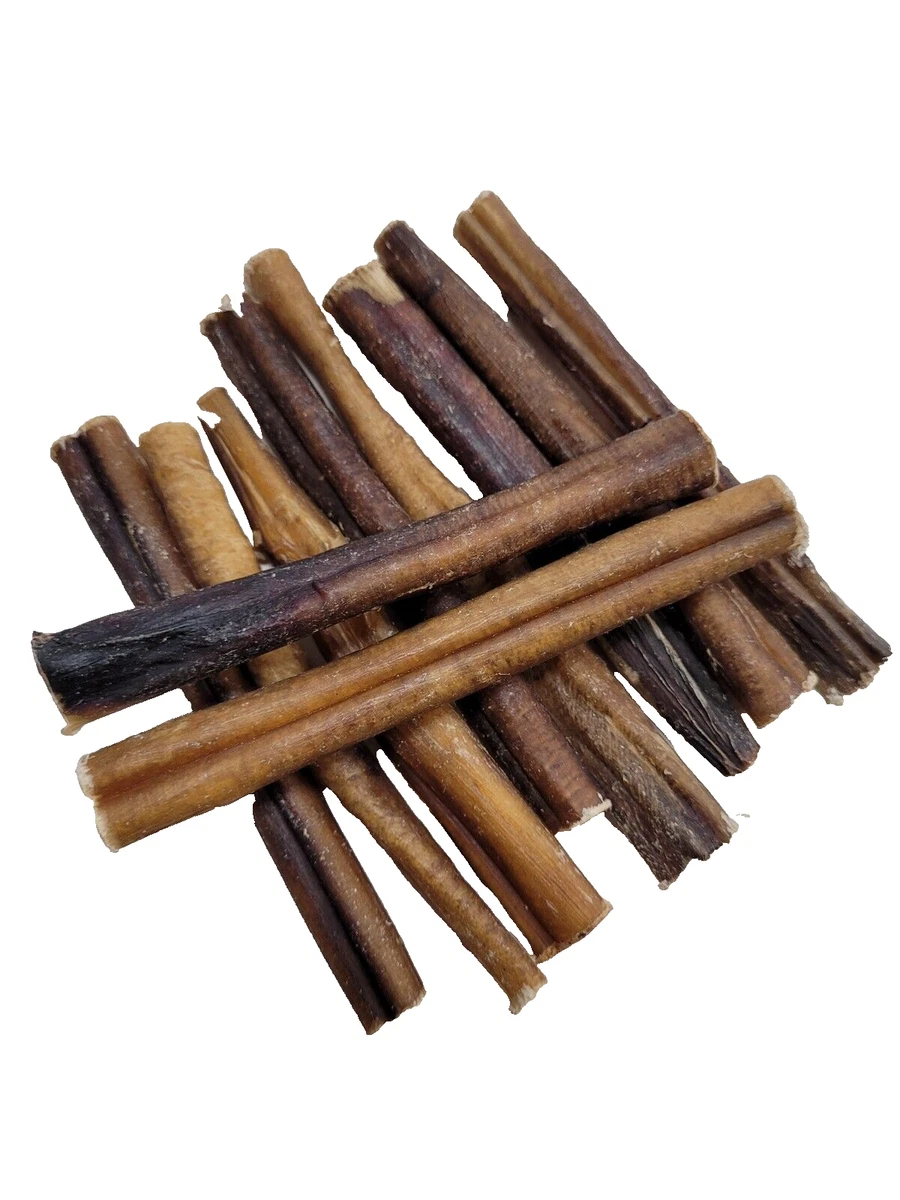 Bully stick dog best sale treat