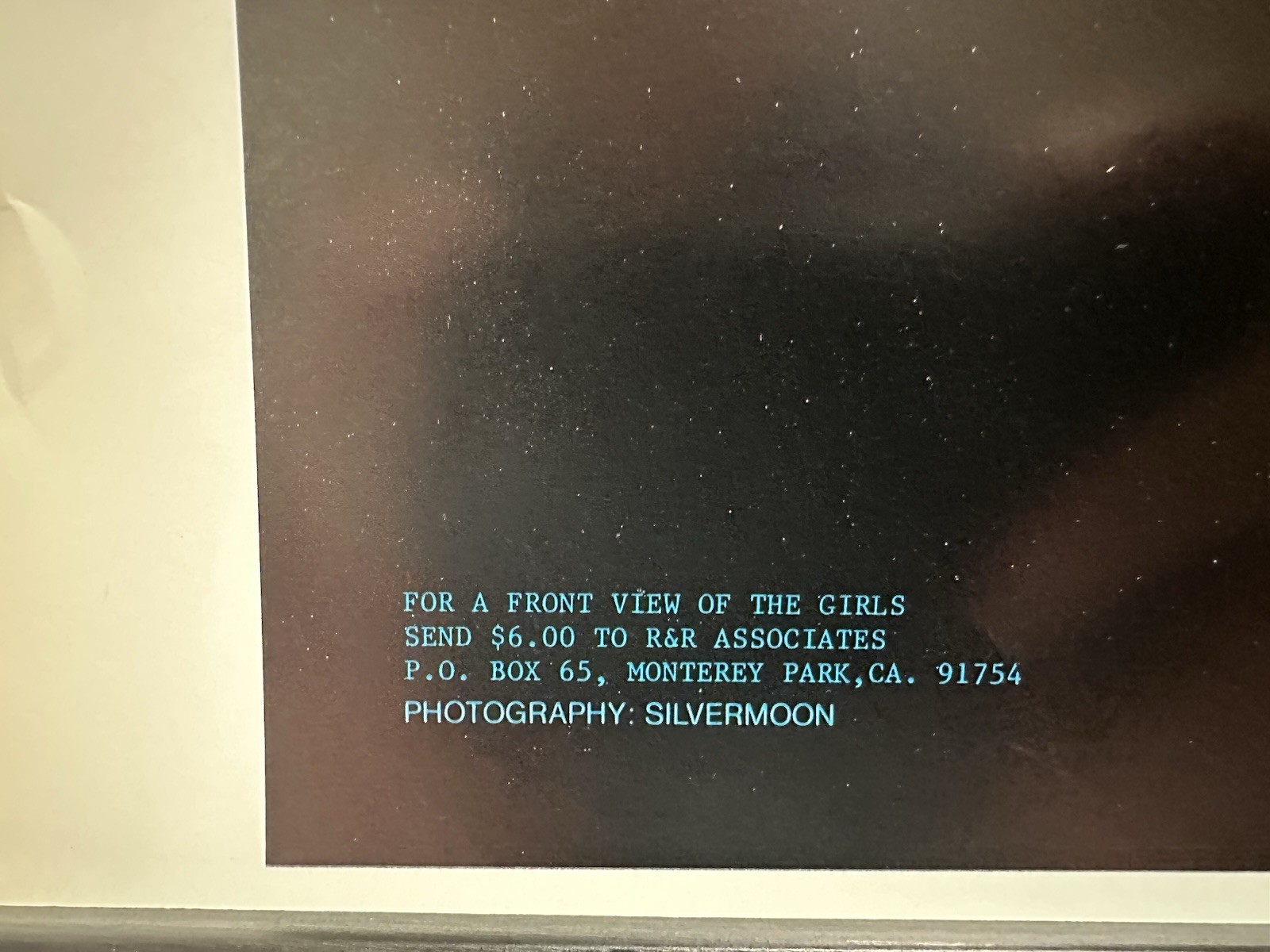 Picture 4 of 13