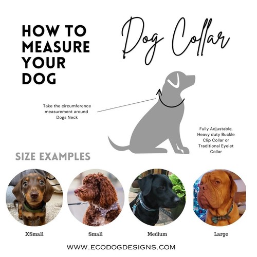 Grey Star Dog Collar, adjustable, Dog Collar and Optional Matching Lead Set - Picture 6 of 6