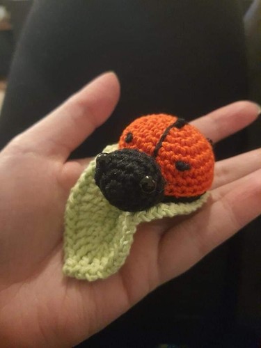 Luna the Ladybird/Ladybug - my original crochet pattern, printed and posted. - Picture 5 of 8