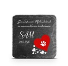 Bild 6 von 8