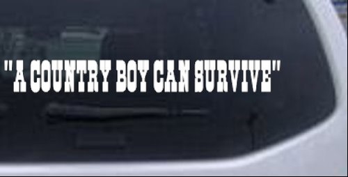 A Country Boy Can Survive Text Car or Truck Window Laptop Decal Sticker - Imagen 1 de 32
