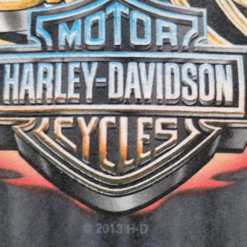 Harley Davidson Tshirt Small 2013 Black Hills Rally Sturgis - Picture 8 of 16