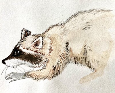 Raccoon Watercolor 90s Art 11'' Cute Furry Animals Cats Dogs Pets Eyes Ears Cats