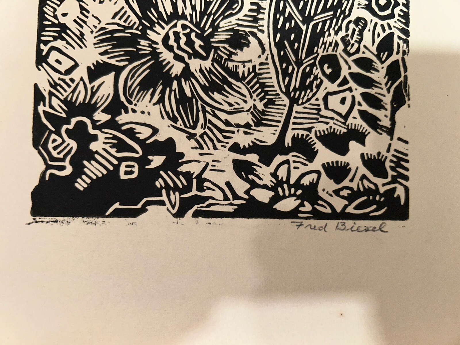 Picture 3 of 5