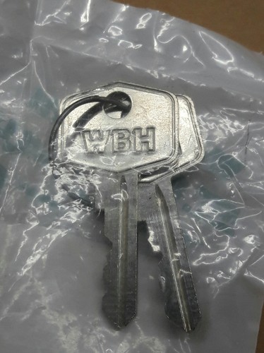 2 Pc ( 1 Pair ) Komatsu FS921 Automotive Keys 1129853C1 WBH - Picture 3 of 3
