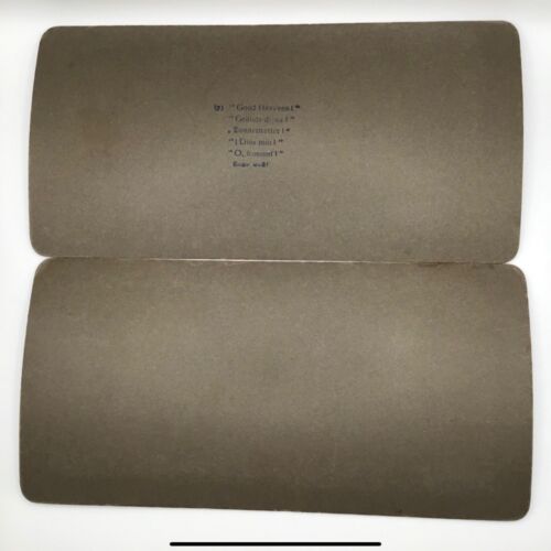 Antique Photos Stereograph Series of 10 Slides Easter Wedding French Maid VTG Ol - Picture 14 of 16