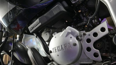Lunge Recovery Performance Yamaha TDR 125 Boost Drehmoment Ansaugung Tuning Motorrad