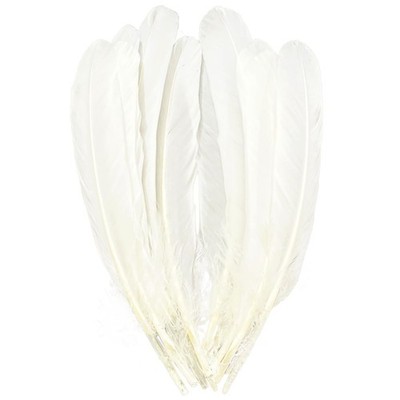 White Feathers,Natural Big Long Goose Feather,8-10 inches Natural 