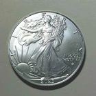 $1 American Silver Eagle Coin 1 oz BU - 2025 - US Mint, uncirculated