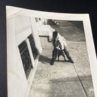 Picture 6 of 21