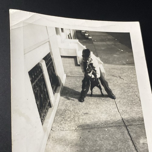 1940s Boy Hugging Pit Bull Dog Puppy Pet on Street Sidewalk Original Photo P3o17 - Picture 6 of 21