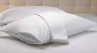 Set of 2 Pillow Protector Prevent Collection of Dust & Mites 20X36 -