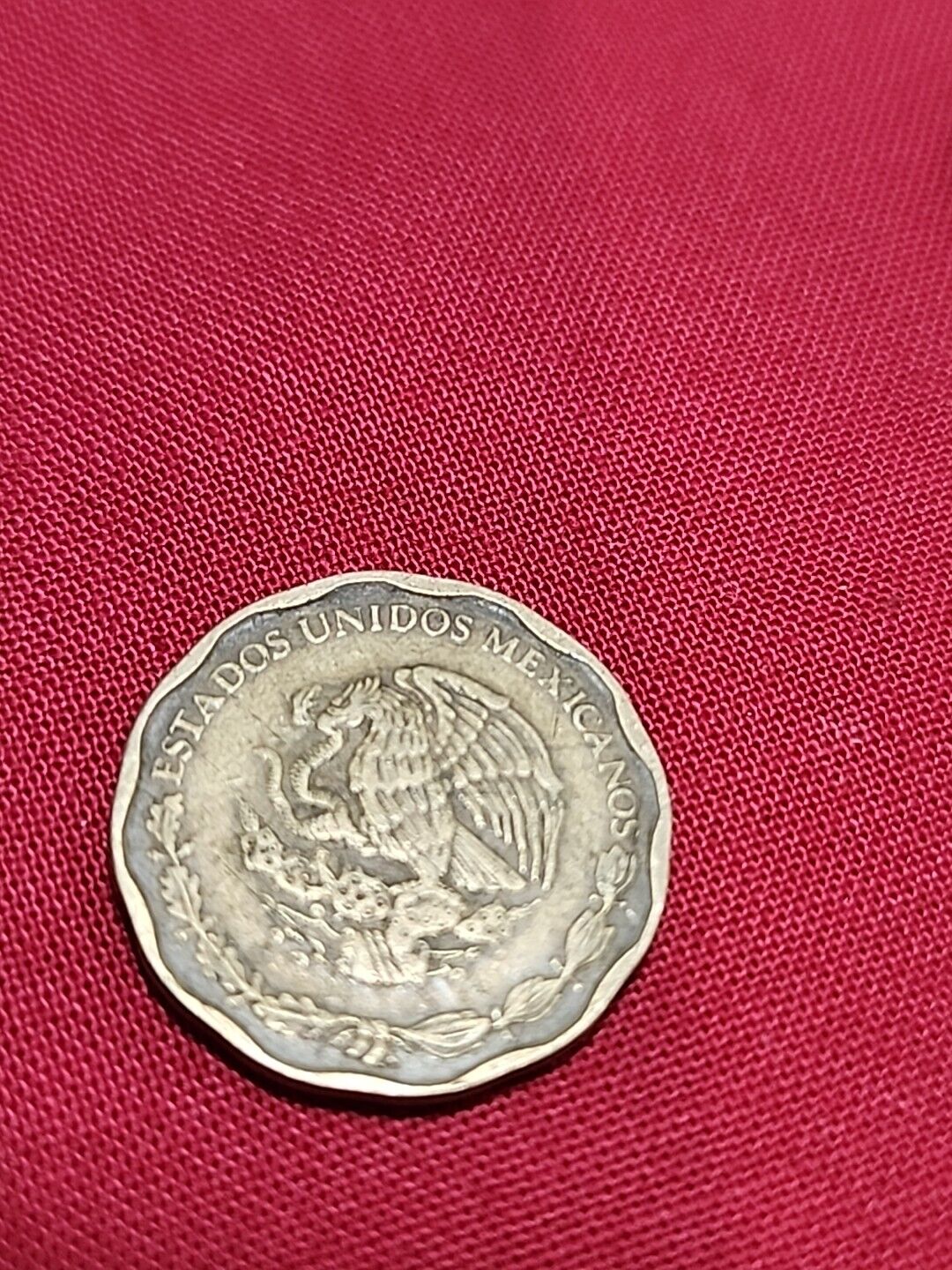 Picture 6 of 8
