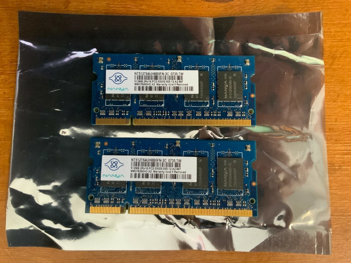 Nanya PC2-5300 DDR2-667 Computer Memory (RAM) 512 MB Capacity per