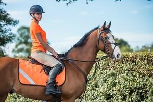 Pink Hi Vis Hi Viz Reflective Saddle Pad High Visibility Numnah Multi Colours