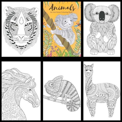 10x ADULT ANTI-STRESS COLOURING BOOK MIND RELAXING BOOKS Colour Therapy Bulk Buy - Imagen 4 de 24