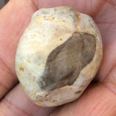 Lunar Meteorite 20 gram, Rare Moon Breccia Individual Rock Meteorite NEA