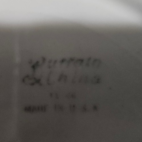 Piatto ristorante Buffalo China Green Band 9 pollici USA vintage merce da pranzo - Foto 4 di 4