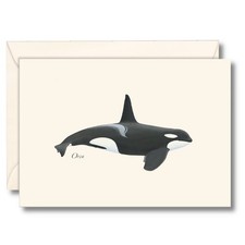 8 Pack Orca Notecard Set, Blank Cards Envelopes Note Stationery Sea Life Ocean
