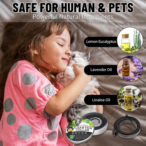Collare Antipulci E Zecche per Gatti, Collare Antipulci per Gatti Impermeabile M - Foto 2 di 12