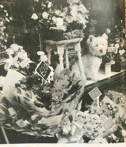 Papá Seda Artificial Paquete de Flores Funeral Abuelo Homenaje Corazón Carta Corona - Imagen 13 de 13