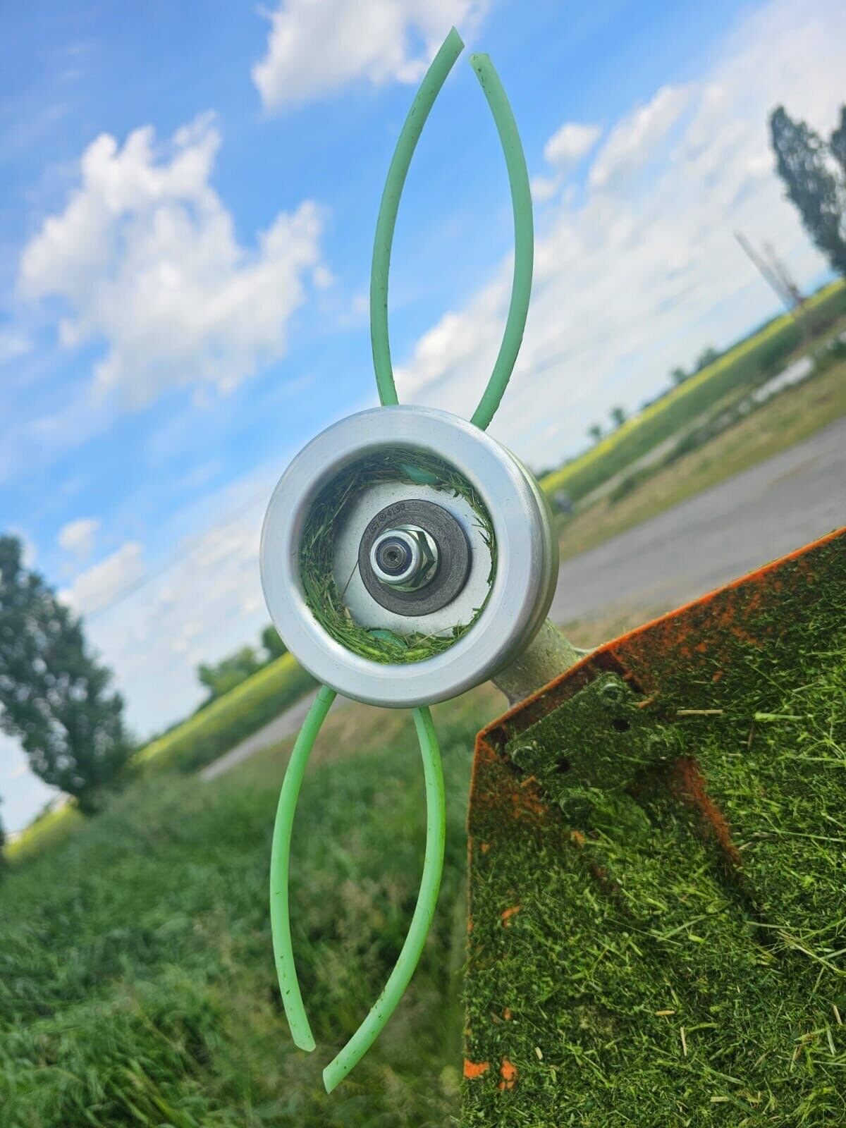 Foto 14 di 23