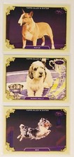 2024 Allen & Ginter Stars Of The Show Westminster - Rufus Bee & Buddy Holly MINT