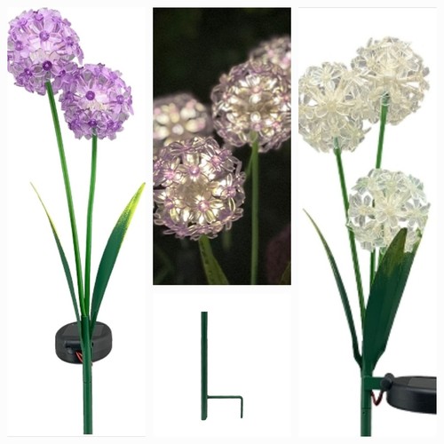 Solarlampe Allium LED Außen Gartendeko 2 Blüten lila Gartenstecker Solar NEU - Bild 5 von 6