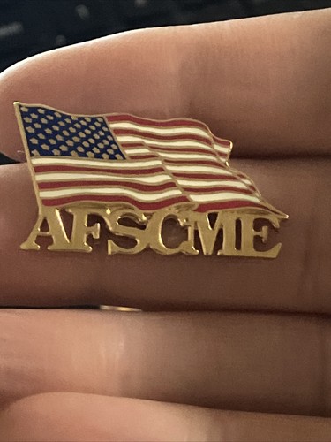 VTG Hat Pin AFSCME AFL-CIO American Federation State County Municipal Employees - Picture 2 of 7
