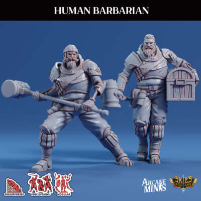 3D Printed Sordane Publishing Arcane Minis Human Barbarian Scrapper Pirates Set