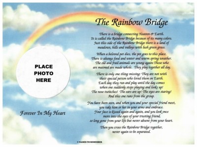 In Memory of Pet Rainbow Bridge Memorial Poem Sentimental ...