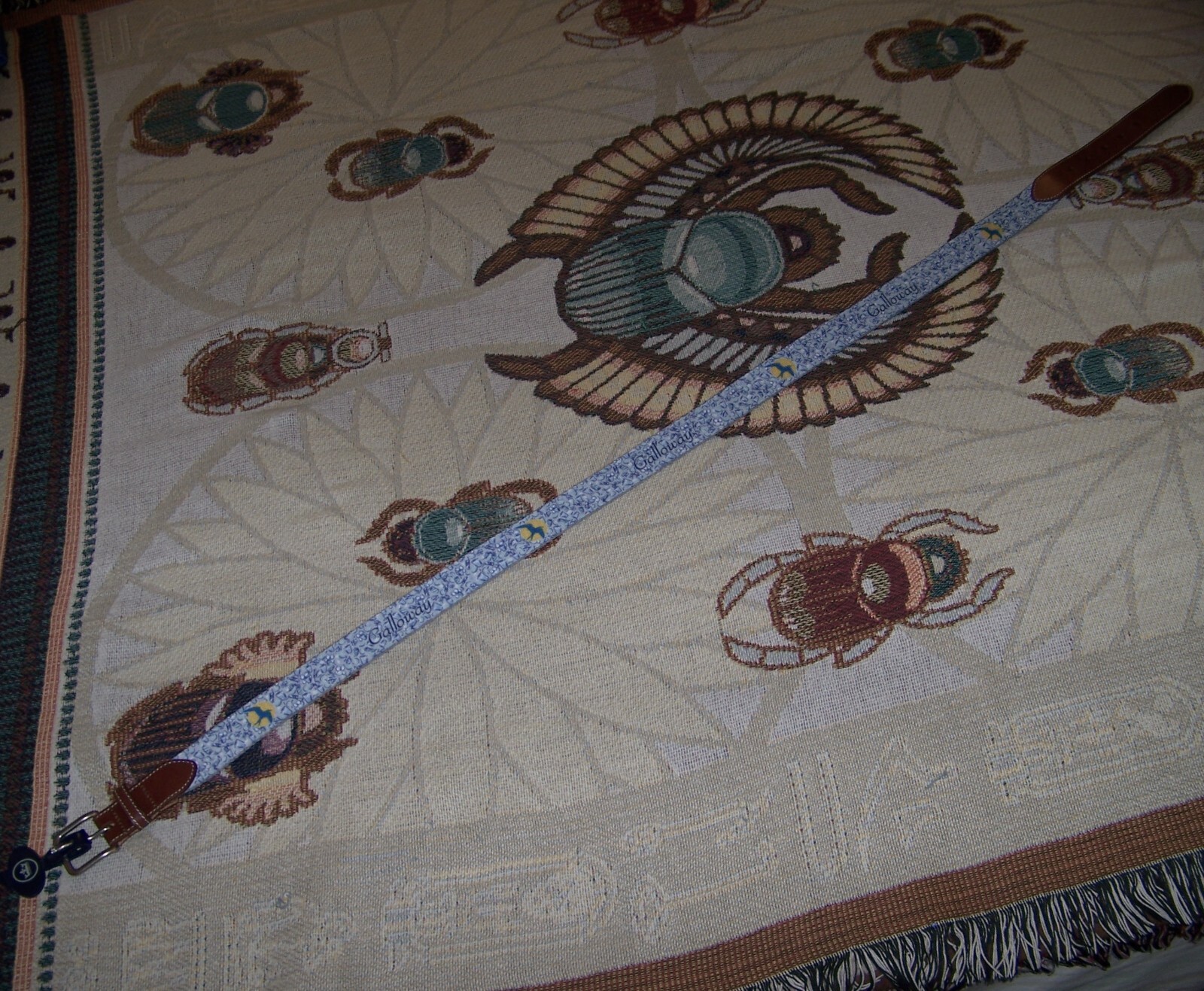 Picture 4 of 8