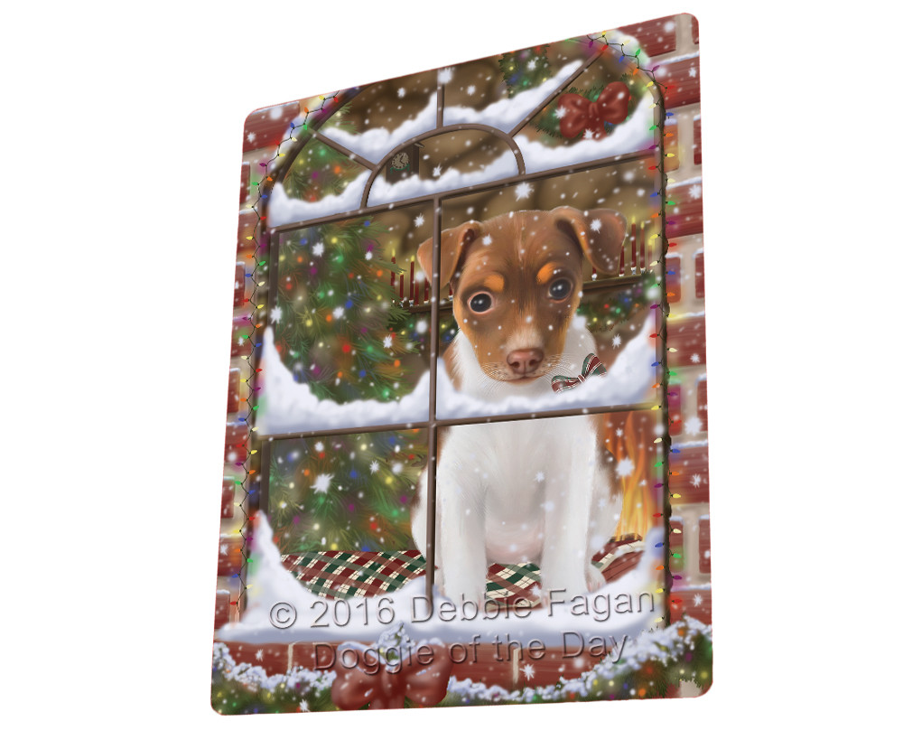 Please Come Home For Christmas Rat Terrier Dog Sitting Window Blanket BLNKT54192 Please Come Home For Christmas Rat Terrier Dog Sitting Window Blanket BLNKT54192