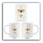 Earwig (Forficula Auricularia) - Mantis Oratoria 1849 Insect Illustration Mug