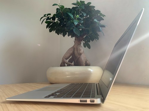 Apple MacBook Air (11-inch, Early 2014) 1.6 GHz Dual-Core i5 128GB SSD - 4GB RAM - Picture 6 of 8