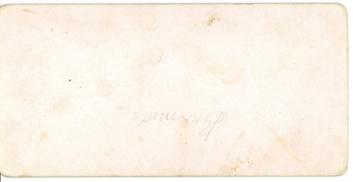 Street of Bermuda Stereoview - Picture 3 of 4