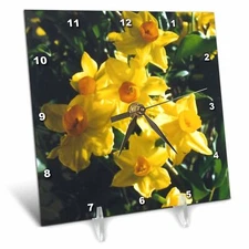 3dRose LLC Daffodils Desk Clock, 6 by 6-Inch 6x6 Desk Clock
