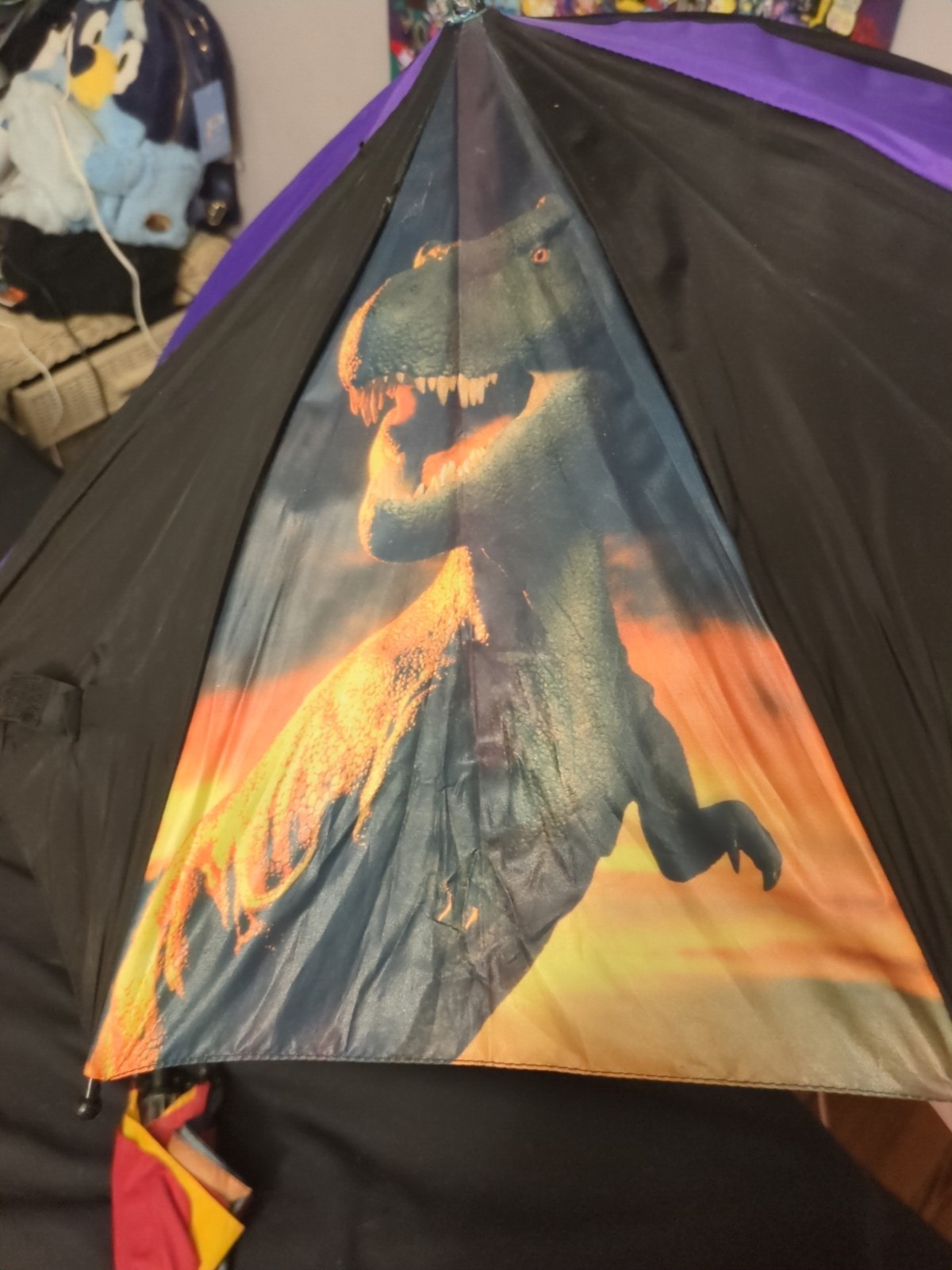 Picture 3 of 13