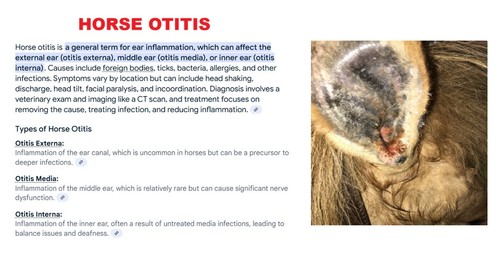 INFECCIÓN DEL OIDO EN CABALLOS - OTITIS - BACTERIAS MATA Y HONGOS 120 cápsulas - EE. UU. - Imagen 2 de 5