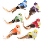 12Pcs Creative Bird Statues for Garden Decor Party Plant Pot Decoration