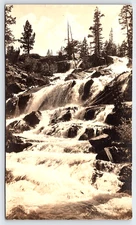 VINTAGE REAL PHOTO POSTCARD PICTURE OLD PHOTOGRAPH IMAGE RIVER WATER TREES RPPC