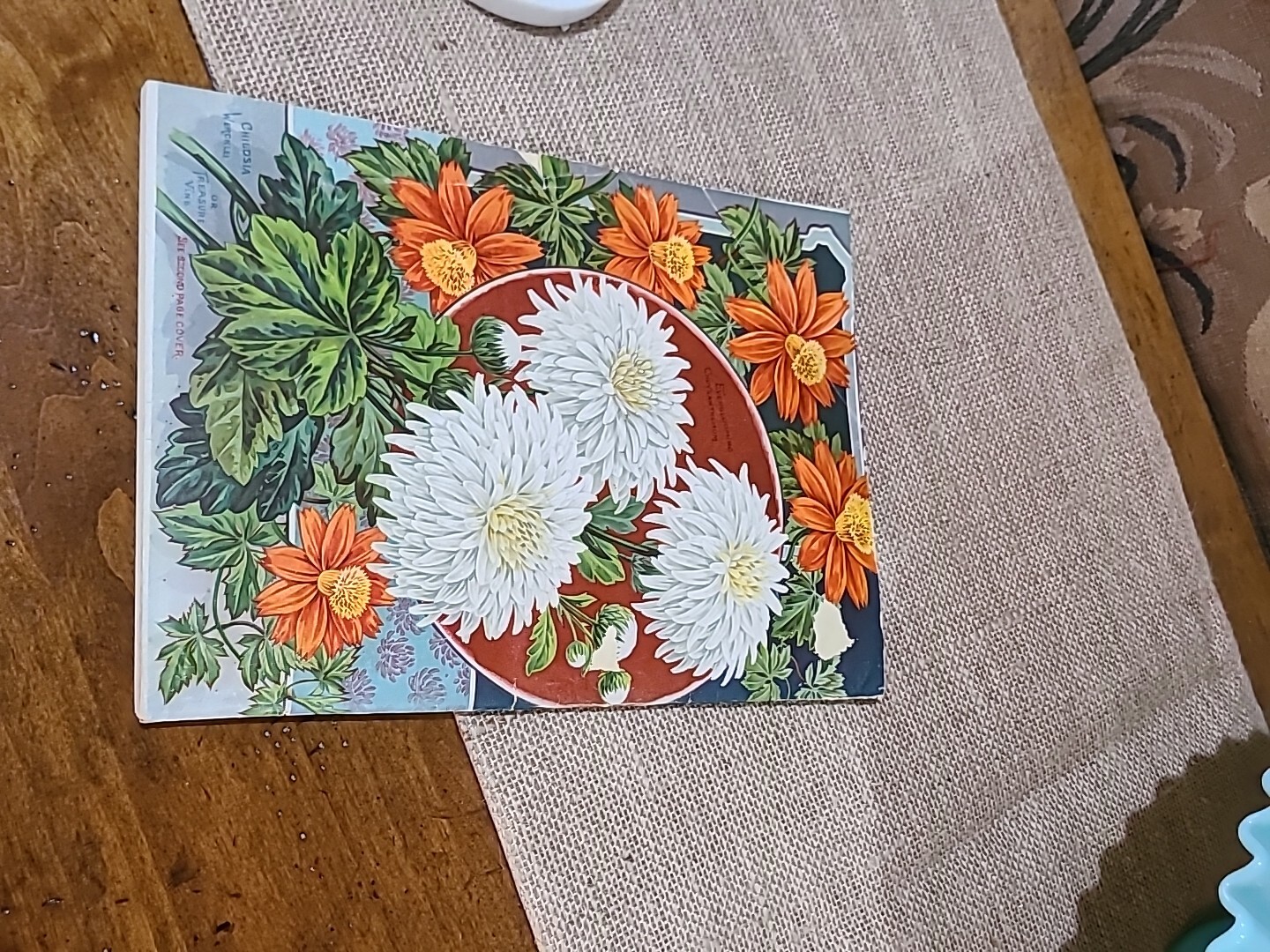 Picture 6 of 21