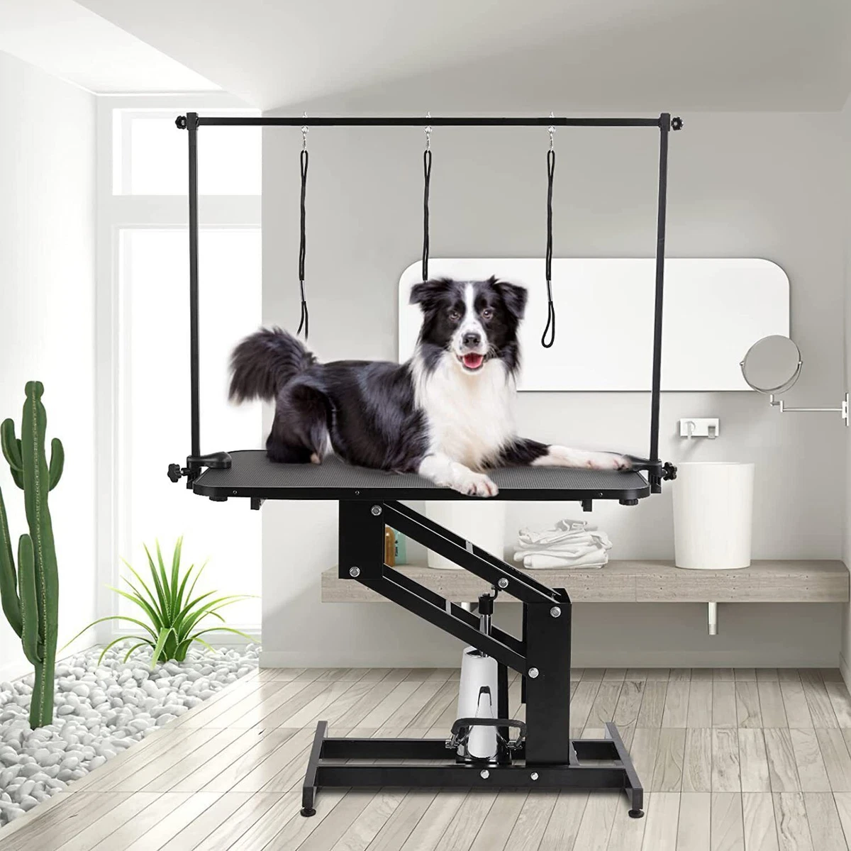 Big dog grooming best sale table