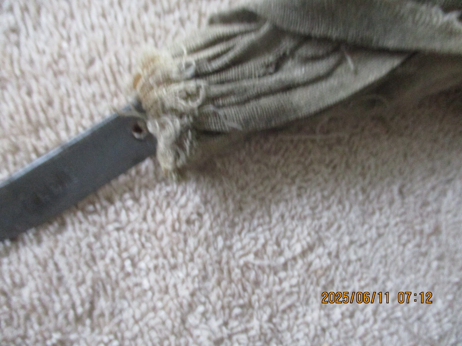 Picture 5 of 6