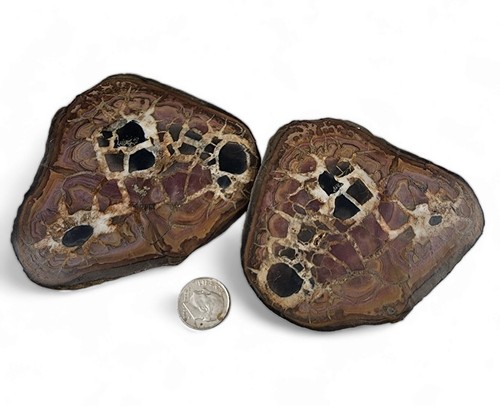 Septarian Polished Nodule Specimen Morocco 310 grams Great Piece - Bild 1 von 2