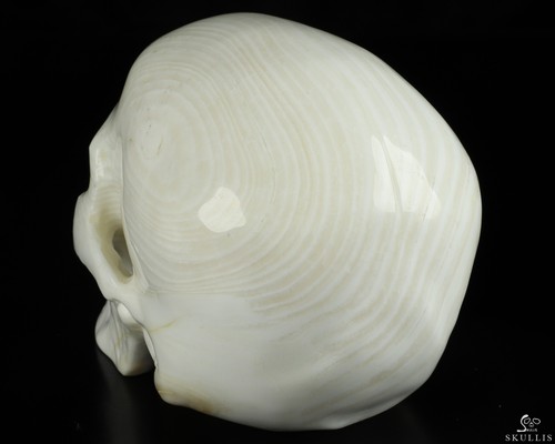 Huge 5.1" Tridacna Gigas Carved Crystal Skull, Super Realistic - Picture 8 of 9