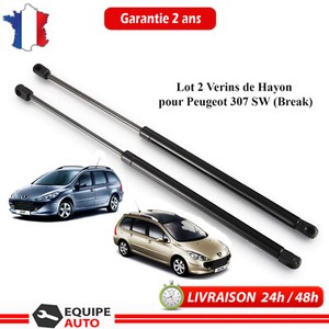 2 Verins de coffre 307 SW Verins ref 8731 F8 8731.F8 8731F8